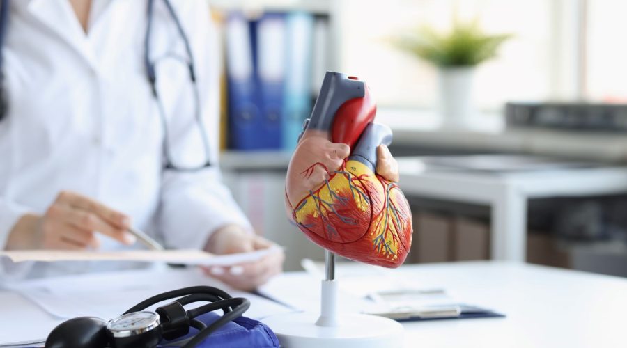 anatomical-model-heart-doctors-table-blurry